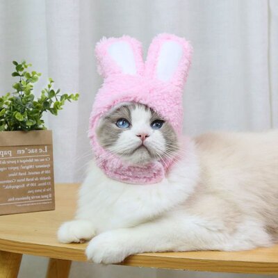 Cute Bunny Pet Dog Cat Hat Funny Plush Rabbit Ears Hat Pet G