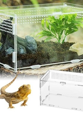 Reptile Tank Insect Spiders Tortoise Lizard Transparent Bree