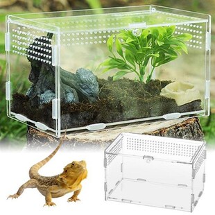 Reptile Tank Insect Spiders Tortoise Lizard Transparent Bree