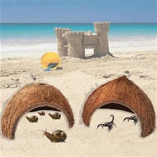 Universal Spider House Natural Lizard House Stylish