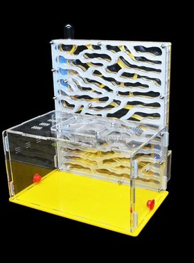 DIY Large Acrylic Ant Farm with Feeding Area Big Ants House