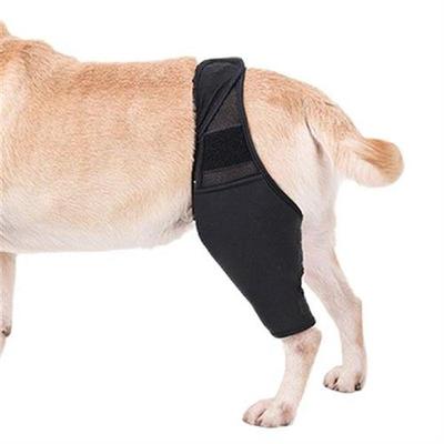 Hip Brace For Dogs Dog Knee Brace Made With Breathable And