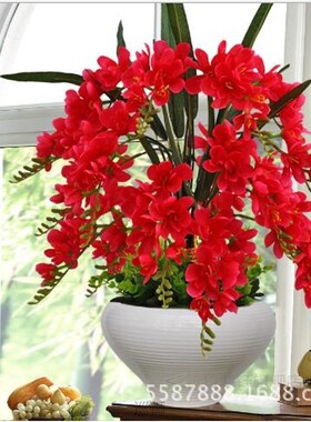 Butterfly orchid bonsai simulation flower artificial flowers