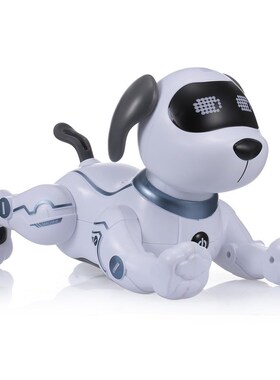 RC Robot TOYS Electronic Pets Robot Dog with Battery Dance V