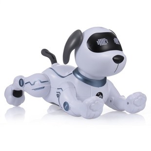 RC Robot TOYS Electronic Pets Robot Dog with Battery Dance V