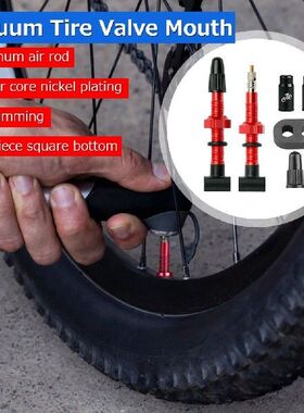 1 Pair FV Valve Ultralight 45mm FV Tubeless Valves Aluminum