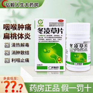 包邮 广宇制药冬凌草片100片咽喉肿痛声音嘶哑扁桃体炎咽炎口腔炎