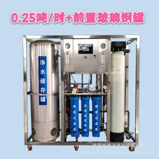 大型商用净水器ro反渗透水处理设备工业软化水0.25吨过滤超纯水机