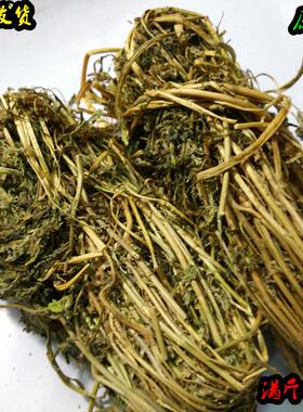 正宗生态KFIg香苜蓿香木须原香料250传统滋补品调大全满料斤包邮