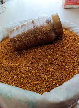 西瓜花粉新西花粉长白山瓜子花鲜粉花蜂粉XTL干货特产500g包邮百