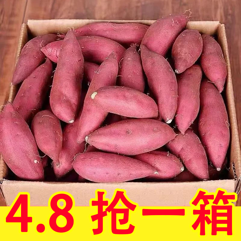 板栗红薯蜜薯9斤甜新鲜地瓜沙地番薯粉糯包邮香薯自种山芋