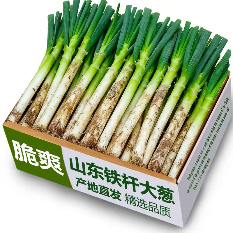 新鲜铁杆大葱新鲜正宗山东甜脆大葱带老皮叶毛葱特产蔬菜9斤非章