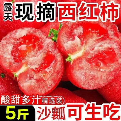 新疆普罗旺斯西红柿沙瓤自然熟番茄新鲜水果当季整箱脆