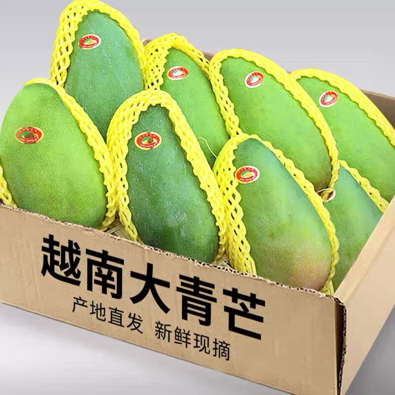 正宗越南大青芒当季新鲜水果青皮大芒果金玉煌芒应季一级特产