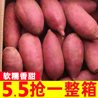 新鲜蜜薯9斤板栗红薯沙地糖心地瓜农家自种番薯现挖烟薯香薯山芋