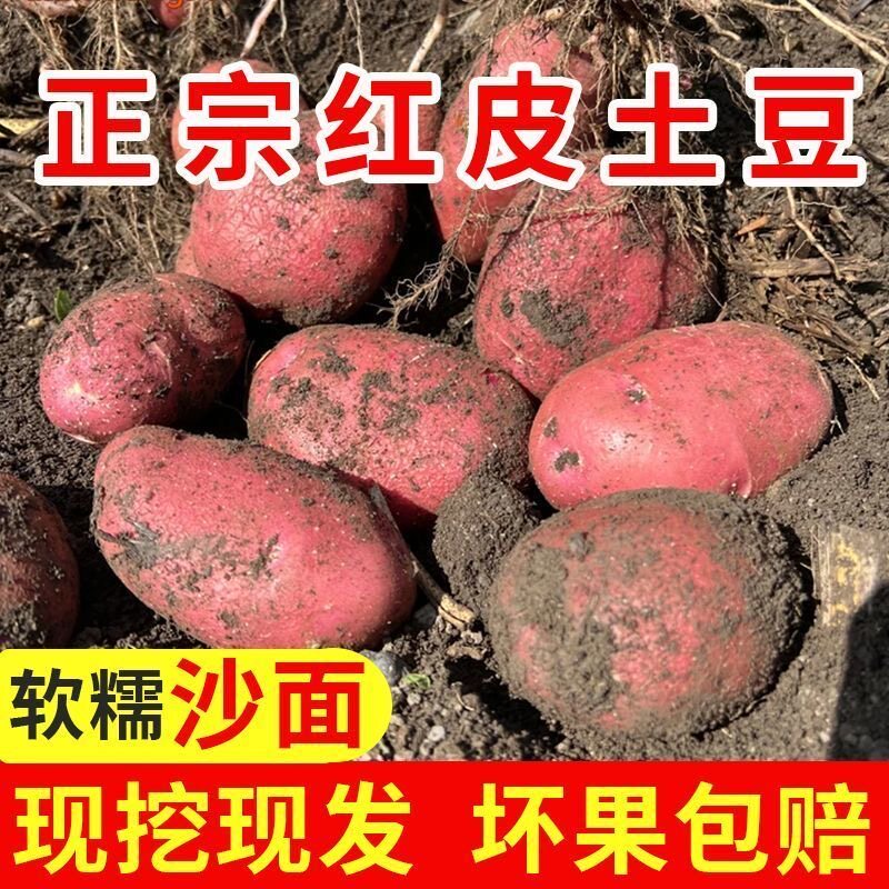 云南红皮土豆9斤新鲜蔬菜土豆马铃薯洋芋黄心土豆整箱包邮