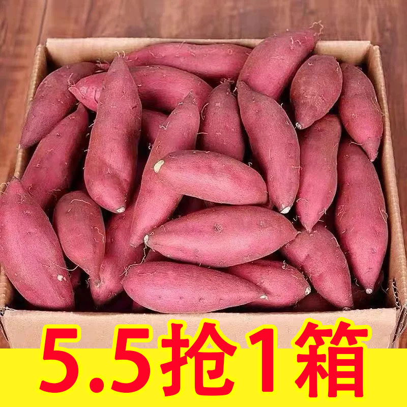 新鲜蜜薯9斤板栗红薯沙地糖心地瓜农家自种番薯烟薯小香薯山芋