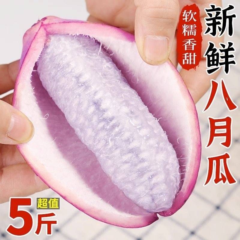 现摘新鲜八月瓜九月炸水果5斤新鲜甜野香蕉预知子牛卵坨包邮