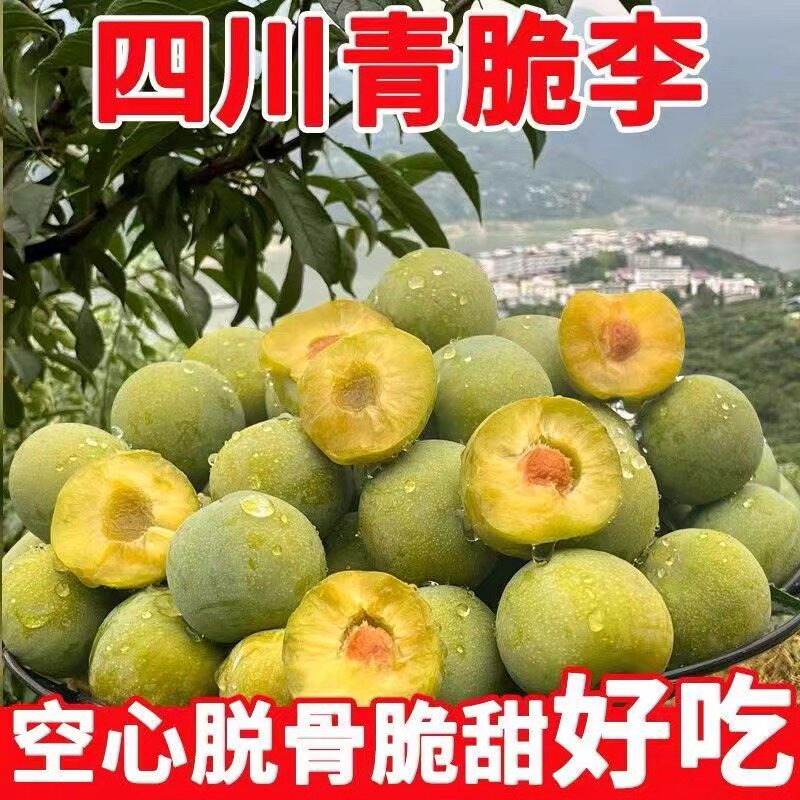 正宗青脆脱骨李新鲜空心土李子冰糖李孕妇四川水果非蜂糖李