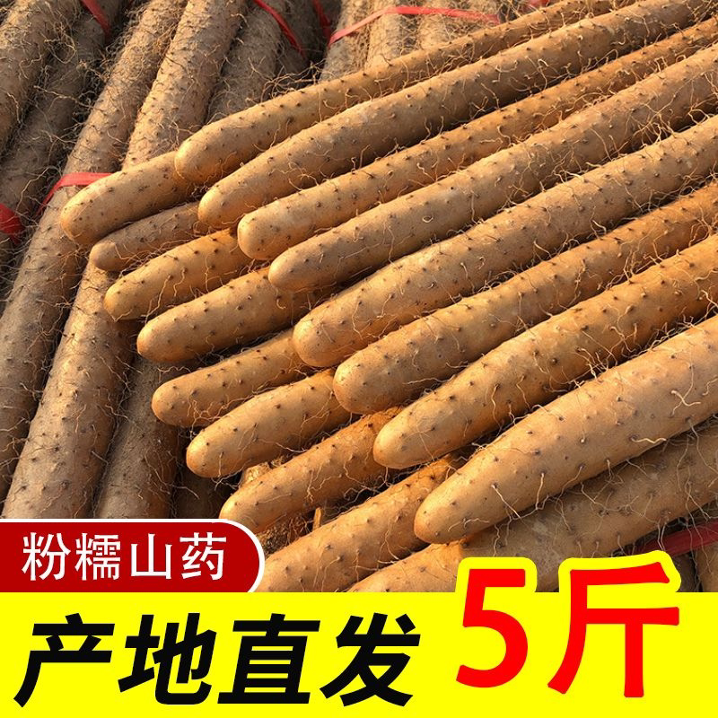 新鲜铁棍山药正宗河南焦作新鲜铁杆怀山药特产淮山药5斤