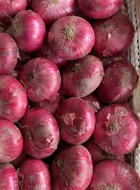 新鲜特级水果洋葱甜味生吃9斤紫皮圆葱头蔬菜农家整箱洋葱