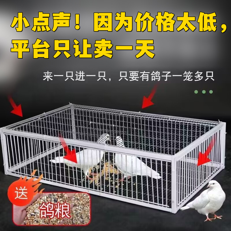 新款加密天落鸽子笼自动撞门鸽笼户外全自动捕鸽子