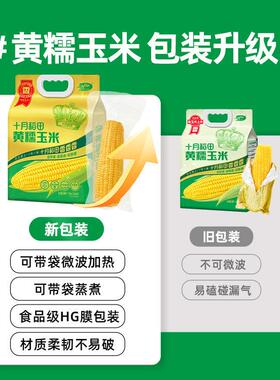 十月IVE稻田黄金苞玉米段80g0东北铝米低脂香甜黄糯新鲜真空包装