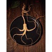 长山人参野CXY生参礼盒一级生人参鉴定证书种子商品全高端白野节