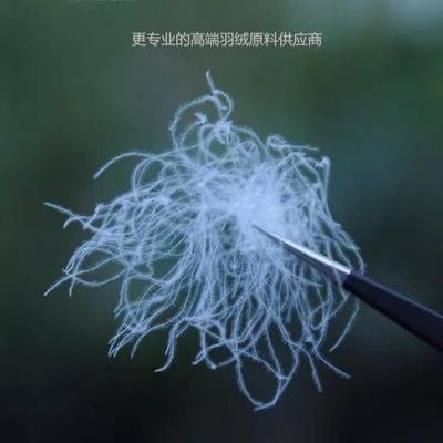 皖西95白鹅绒98吊吊大朵绒90白鸭95％国标羽绒被无异味高蓬松清洁