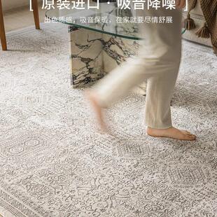 客厅抑菌家用免打理环保卧室 视觉味道土耳其进口现代复古地毯法式