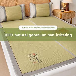 天然蔺草席凉席夏季夏天2024新款家用学生宿舍单人可折叠老式席子