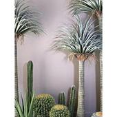 彷真绿植假树龙血树盆栽室内造景客厅假绿植橱窗楼梯酒店装 饰摆件