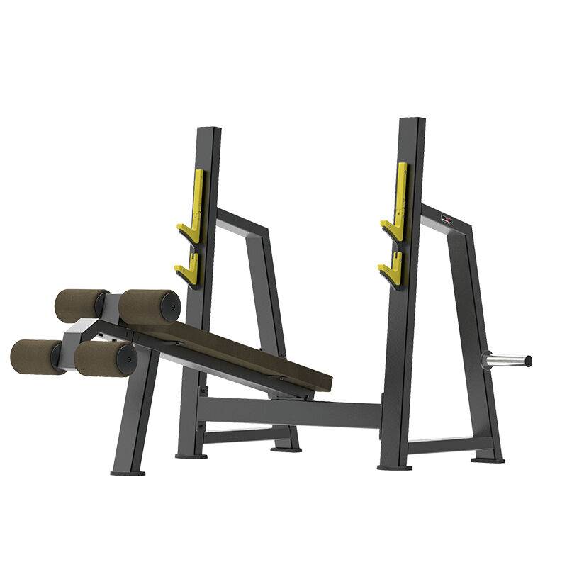 SA926卧推架下斜推胸专项训练器健身房专用商用健