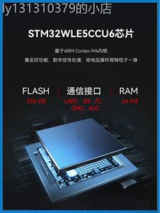 400/900MHzLoRa扩频无线模块STM32WLE5芯片抗干扰支持二次开发