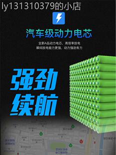 VOA电动车锂电池48V60V电瓶海霸电池银鱼电池代驾车电池动力电池