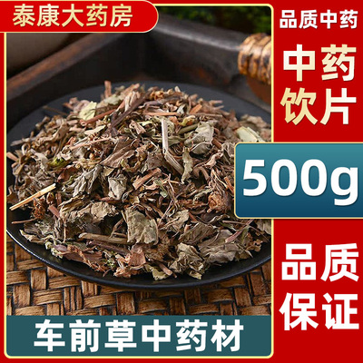 车前草中药饮片500g正品