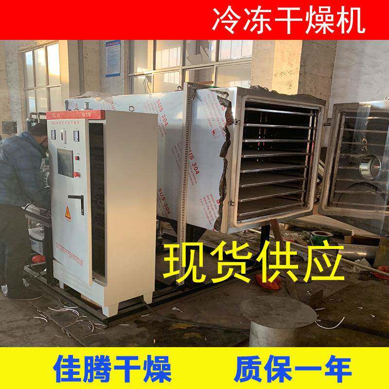 小型冻干设备 草莓苹果芒果真空冷冻干燥机 鲍鱼海参肉类冻干机