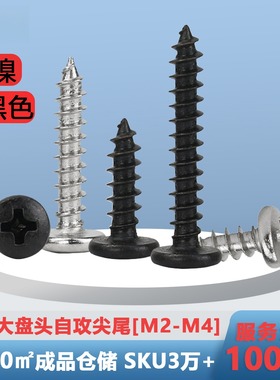 M2M4铁镀镍大圆头自攻螺丝BA铁黑色十字槽盘头螺丝钉小螺钉