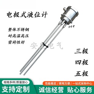 G2寸螺纹电极式 液位计法兰型水位开关控制器不锈钢高温探头传感器