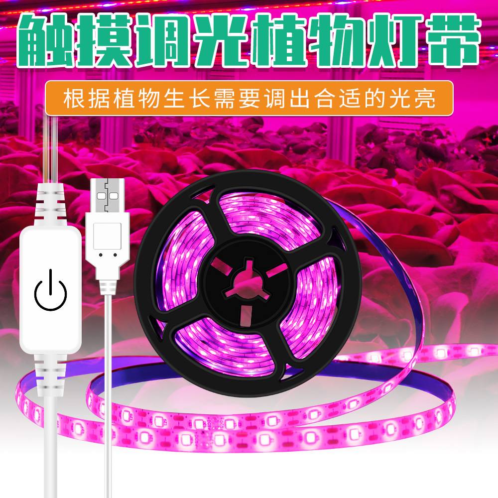 跨境植物生长灯LED灯带种植图片