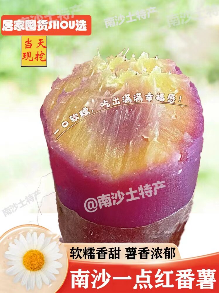顺丰正宗广州南沙一点红番薯现挖冰淇淋红薯板栗薯农家自种蜜薯m