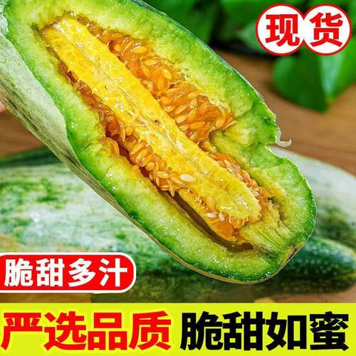 羊角蜜甜瓜头茬现摘果