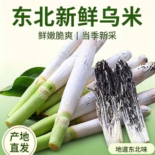 东北特产新鲜高粱乌米带皮青乌米