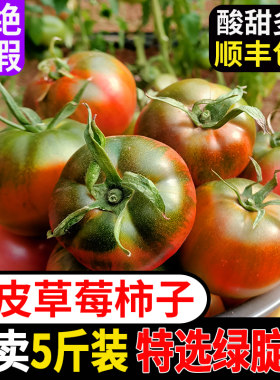 正宗辽宁丹东草莓铁皮柿子