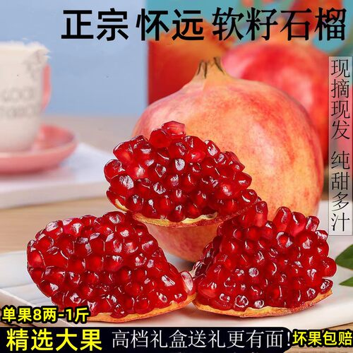 正宗怀远石榴精选品质礼盒装