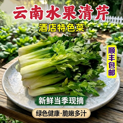 云南现摘水果芹菜清芹脆嫩无丝