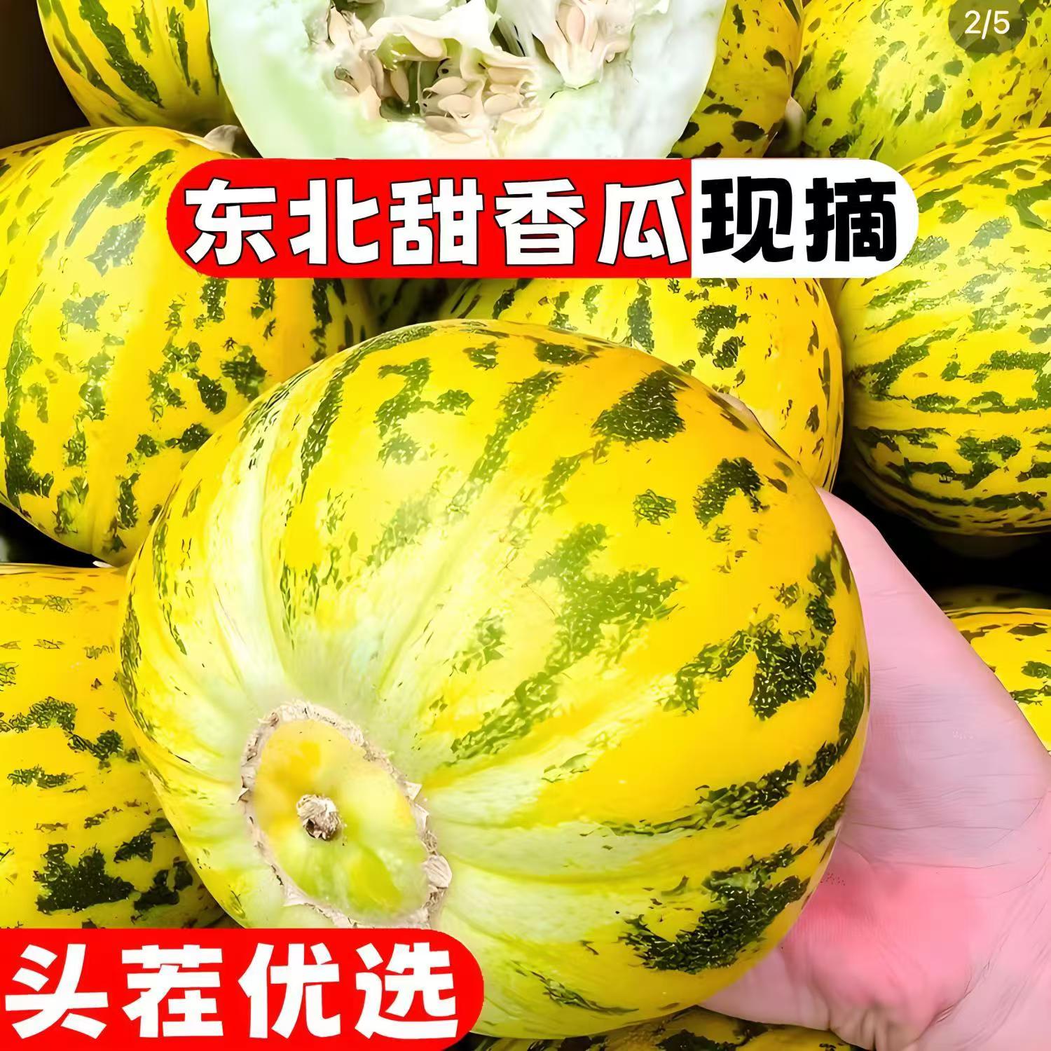 东北香瓜甜八里香瓜新鲜水果
