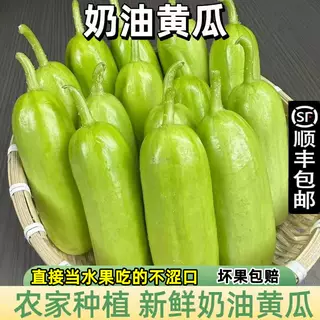 顺丰山东潍坊无刺牛奶白玉小黄瓜现摘现发奶油黄瓜小青瓜蔬菜水果