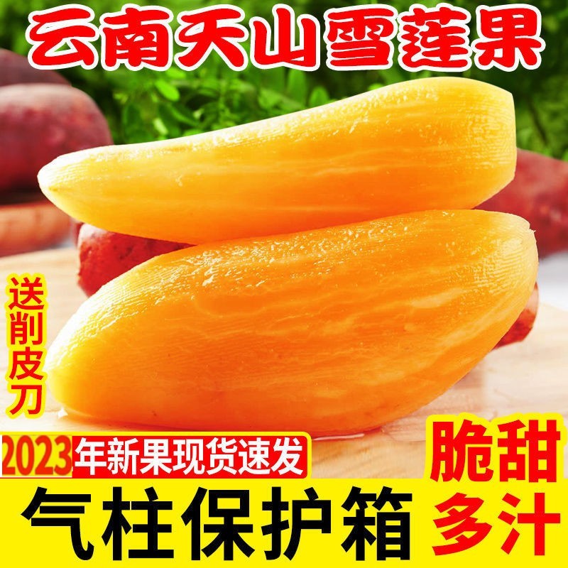 云南雪莲果馋味鼠新鲜红心特级