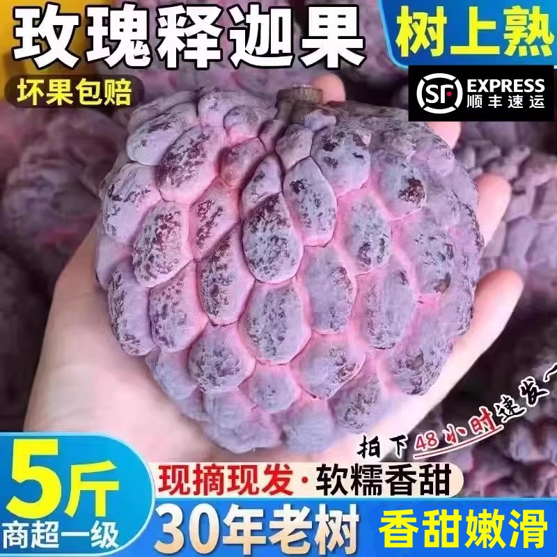 珍稀玫瑰红释迦果5斤新鲜现摘软糯香甜好吃